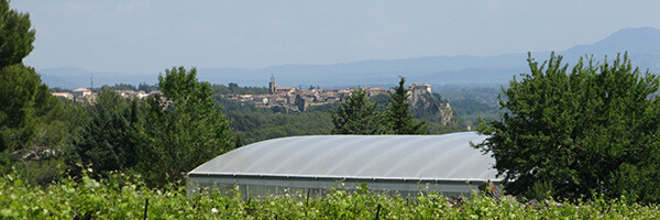 marché.jpg